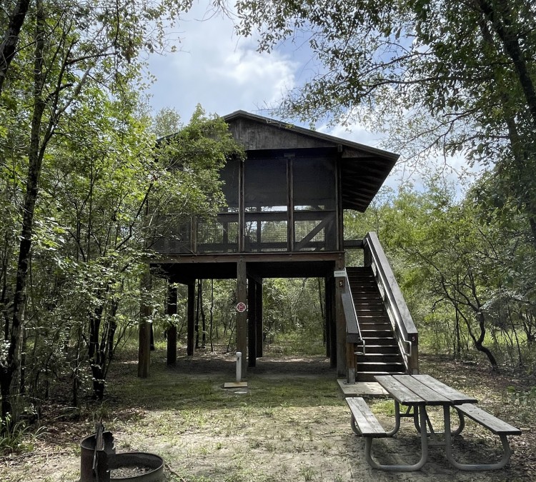 Dowling Park River Camp (Mayo,&nbspFL)